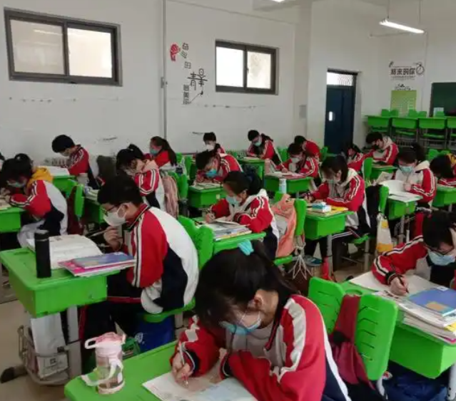 真正的对症下药不是在起点上按成果分班而是在多元的班级生态中